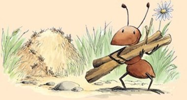Fred - die fleißige Ameise